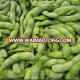 2017 New Crop Good Tasting Fresh Frozen Soybean