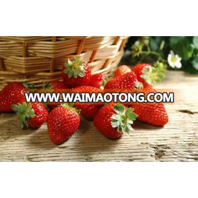 2017 Crops frozen/Iqf strawberry,frozen strawberry,iqf strawberry